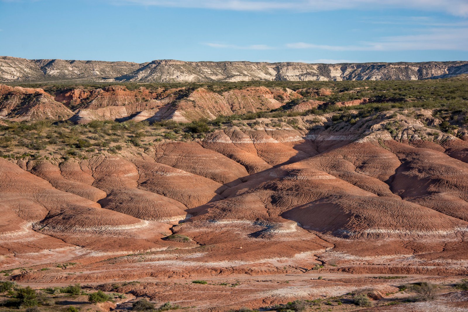 WWW.PATAGONIAENIMAGENES.COM.AR