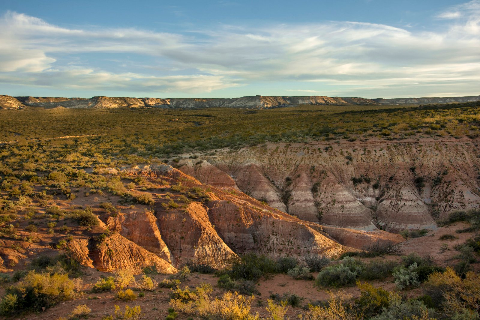 WWW.PATAGONIAENIMAGENES.COM.AR